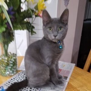 Meet your Posher, Libby